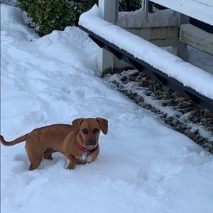 Meet your Posher, Greg